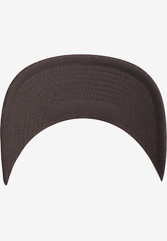 Flexfit Cap 'PINSTRIPE' in Braun