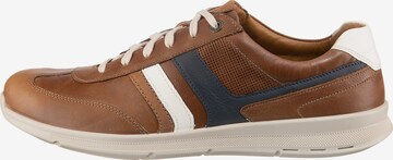 JOMOS Sneaker 'Rogato' in Braun