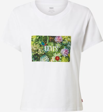 LEVI'S ® Majica 'Graphic Surf Tee' u žad / travnato zelena / ljubičasta / svijetlocrvena / bijela, Pregled proizvoda