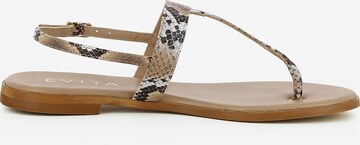 EVITA T-Bar Sandals 'OLIMPIA' in Brown