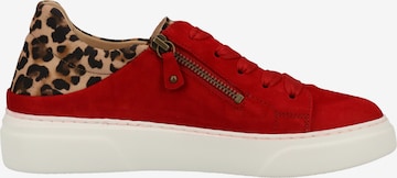 GABOR Sneakers laag in Rood