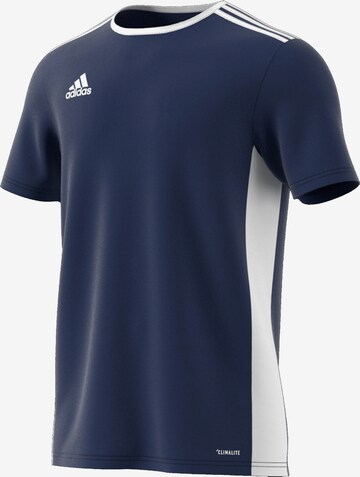 ADIDAS SPORTSWEAR Performance Shirt 'Entrada 18' in Blue