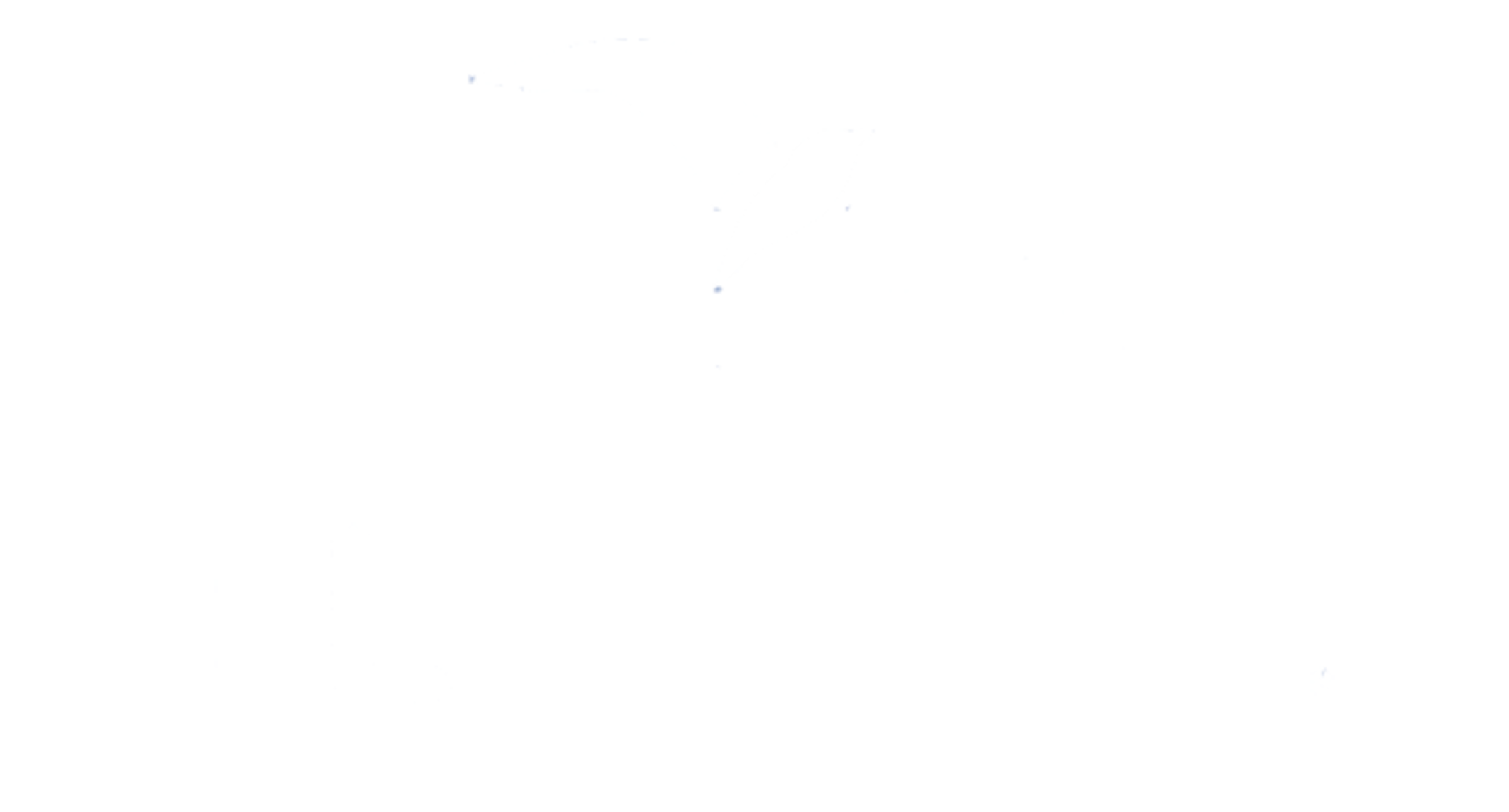 FLY FLOT Logo