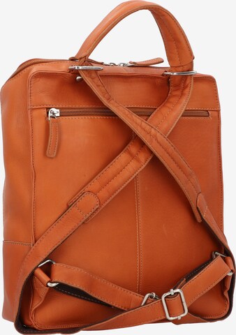 Harold's Backpack 'Campo' in Brown