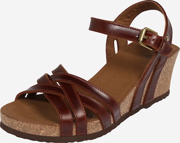 PANAMA JACK Strap Sandals 'Vera Clay' in Brown: front