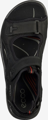 ECCO Hiking Sandals in Black