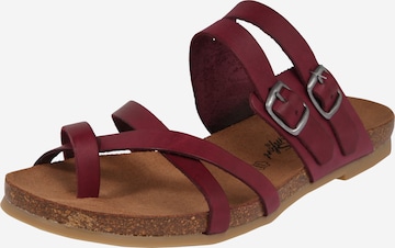 COSMOS COMFORT T-Bar Sandals in Red: front