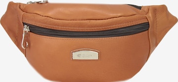 Harold's Fanny Pack 'Country I' in Brown: front