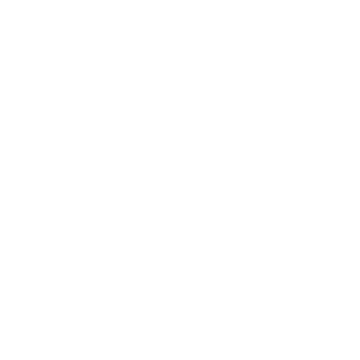 Zeppelin Logo