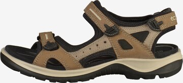 ECCO Wandelsandalen 'Offroad' in Bruin