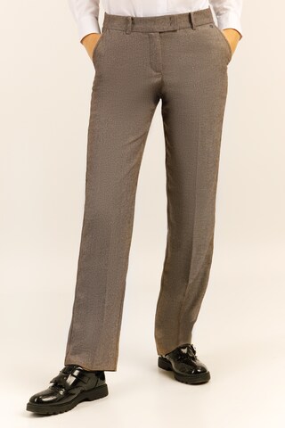 Finn Flare Pleated Pants in Brown: front
