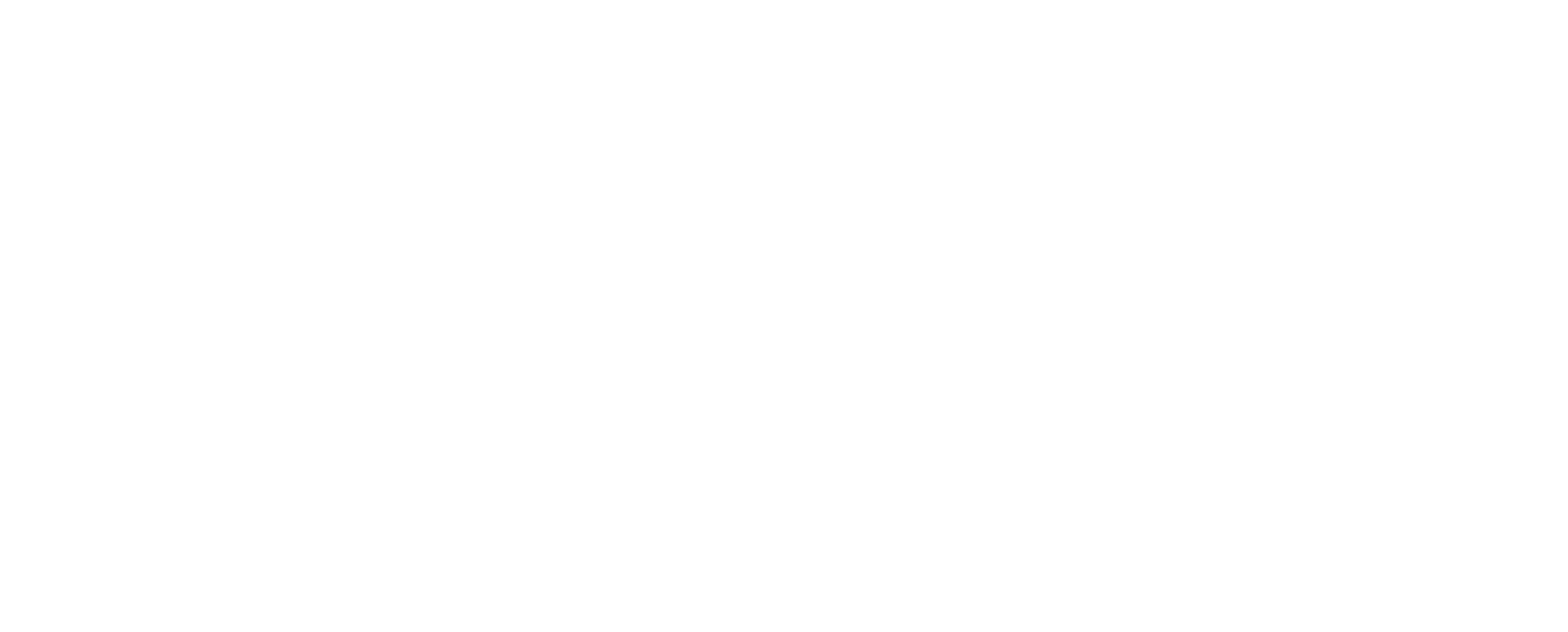 HOLLISTER Logo