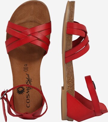 COSMOS COMFORT Sandalen met riem in Rood