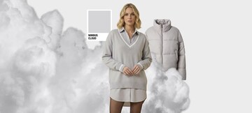 Trend Color: Nimbus Cloud
