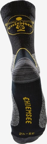 CHIEMSEE Socks in Grey