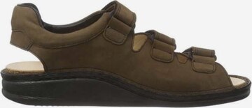 Finn Comfort Sandals 'Tunis' in Brown