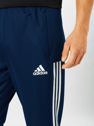 ADIDAS SPORTSWEAR Tapered Sportbroek in Blauw