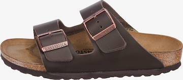 BIRKENSTOCK Pantoletter 'Arizona' i brun