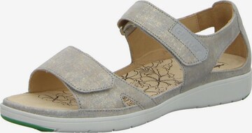 Ganter Sandals in Grey: front