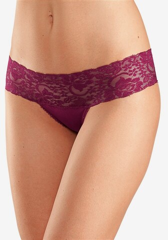 VIVANCE Panty in Mixed colors: front