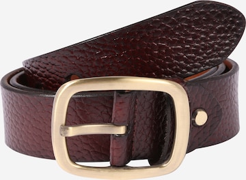 Only & Sons Belt 'CODY' in Brown: front