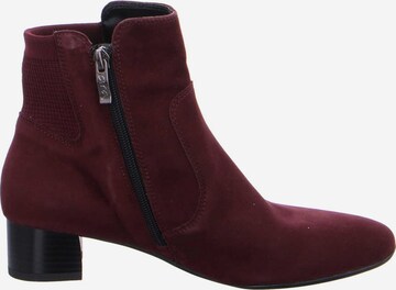 ARA Stiefelette in Rot