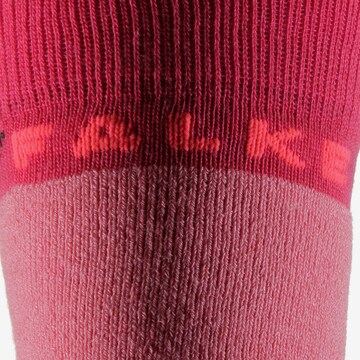 FALKE Athletic Socks in Mixed colors