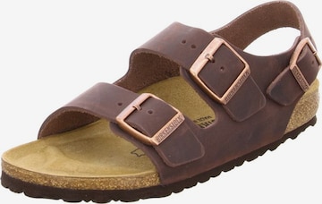 BIRKENSTOCK Сандали 'Milano' в кафяво: отпред