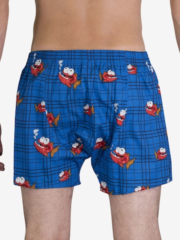 Boxers ' Piranha ' Sugar Pine en bleu