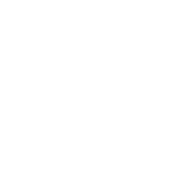Bergpfeil Logo