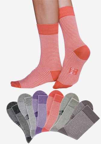 H.I.S Къси чорапи в сиво: отпред