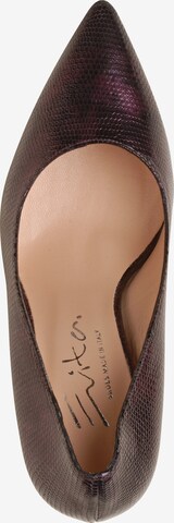 EVITA Damen Pumps in Lila