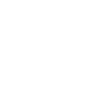 Noa Noa Logo