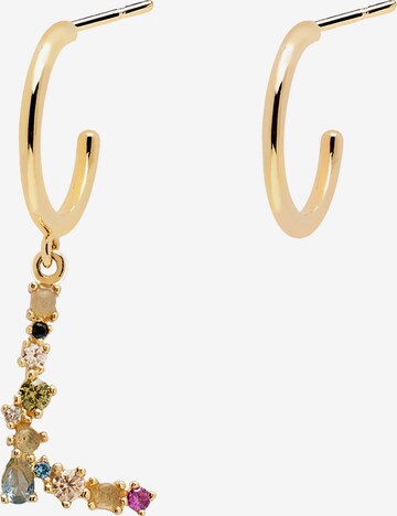 P D PAOLA Earrings in Gold: front