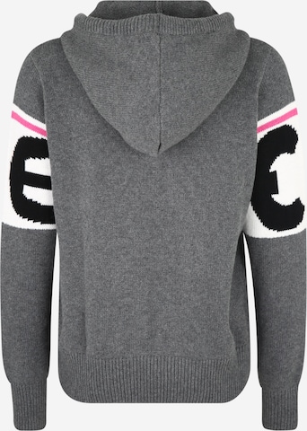 CHIEMSEE Sweatshirt in Grey: back