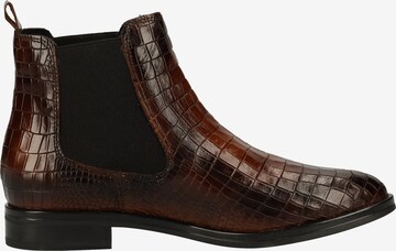 Gino Rossi Chelsea boots in Bruin