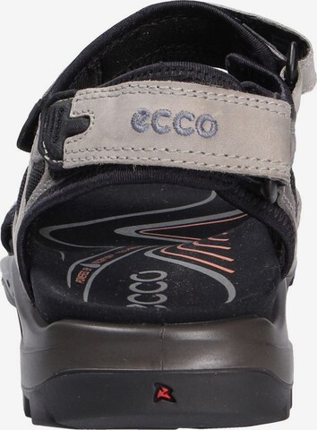 ECCO Hiking Sandals in Grey