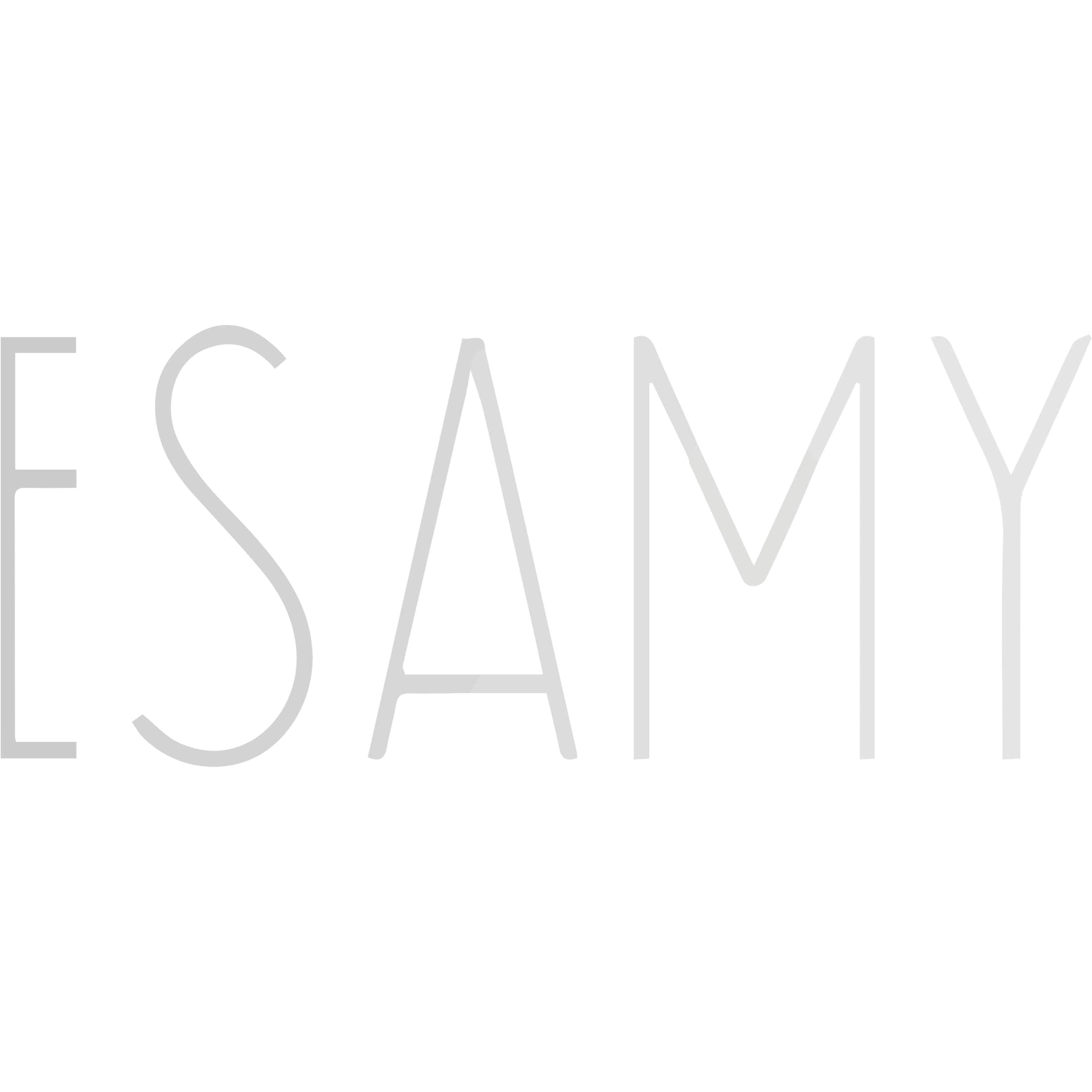 ESAMY Logo