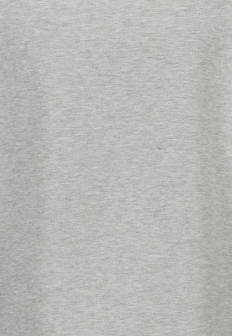 Virtus Sweatshirt in Grey