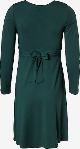 Bebefield Dress in Green