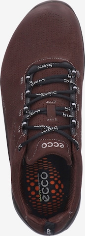 ECCO Sneakers 'Biom Fjuel' in Brown