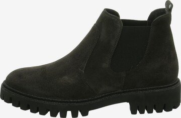 Paul Green Stiefel in Grau