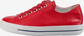 Paul Green Låg sneaker i röd
