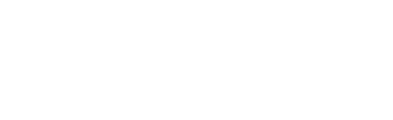 Mister Tee Curvy Logo