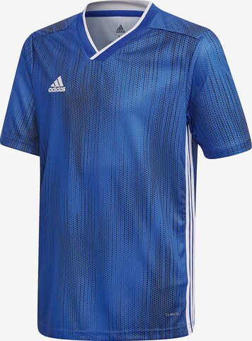 ADIDAS PERFORMANCE Trikot 'Tiro 19' in Blau: predná strana