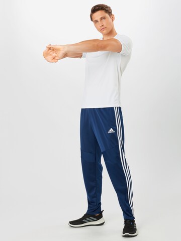 Regular Pantaloni sport 'Tiro 19' de la ADIDAS PERFORMANCE pe albastru