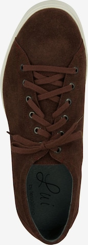 Lui by tessamino Lace-Up Shoes 'Stefano' in Brown