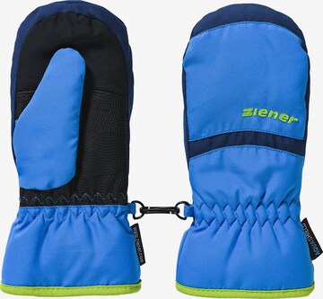 ZIENER Athletic Gloves 'Lejanos' in Blue: front