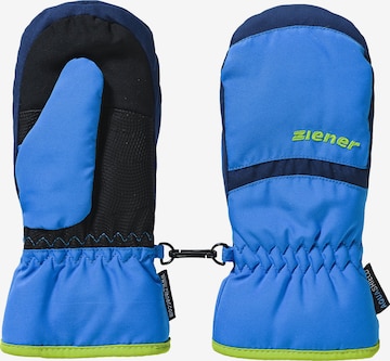 ZIENER Athletic Gloves 'Lejanos' in Blue: front