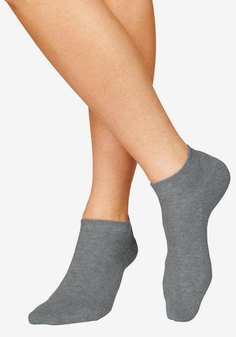 Chaussettes H.I.S en gris : devant